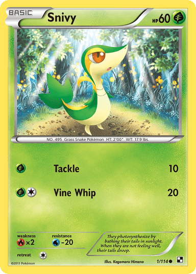 Vipélierre